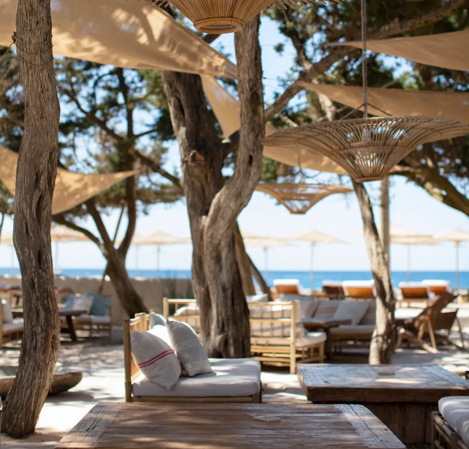 Ibiza Culinary Delights
