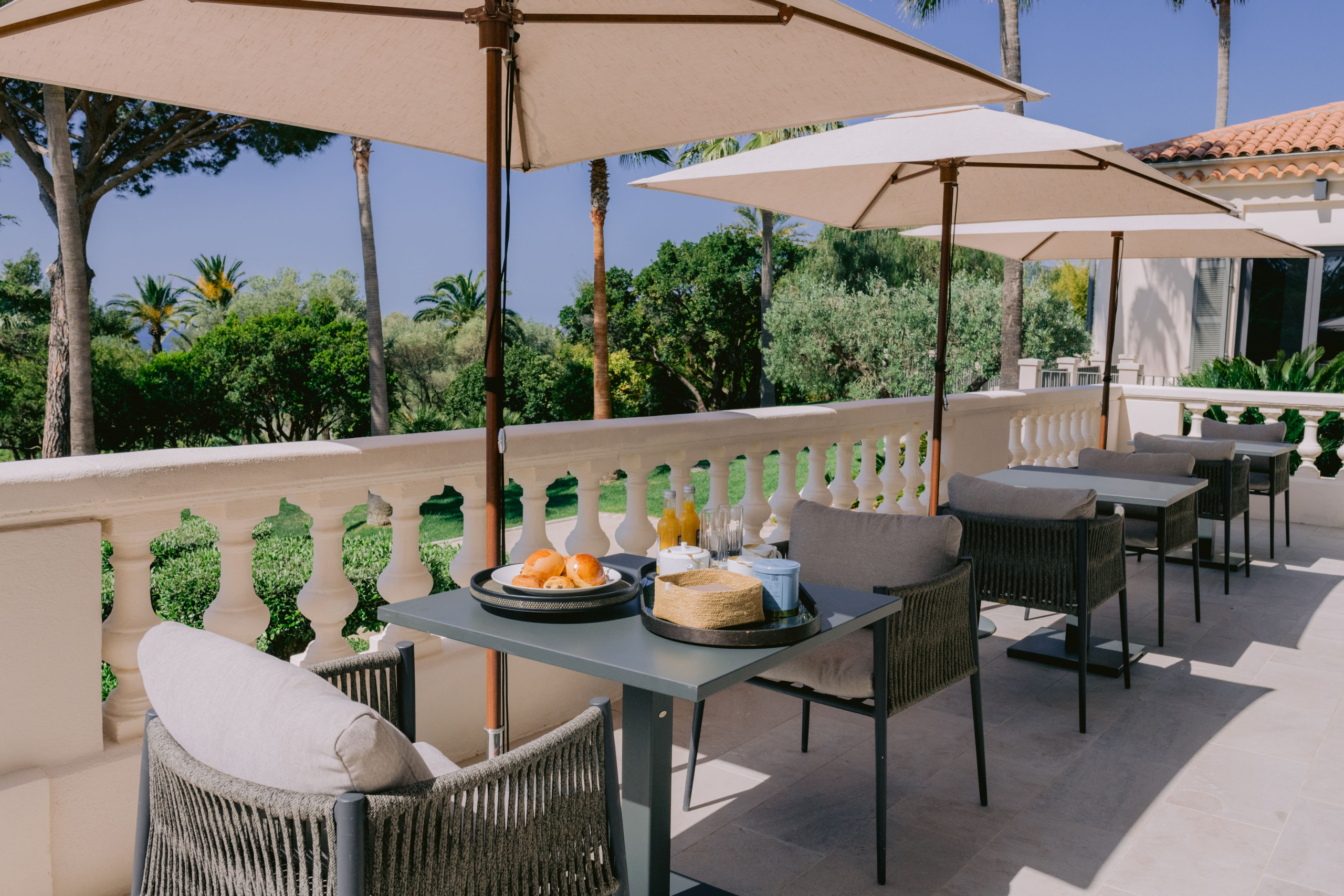 Louise Terrasse pdj2.jpg