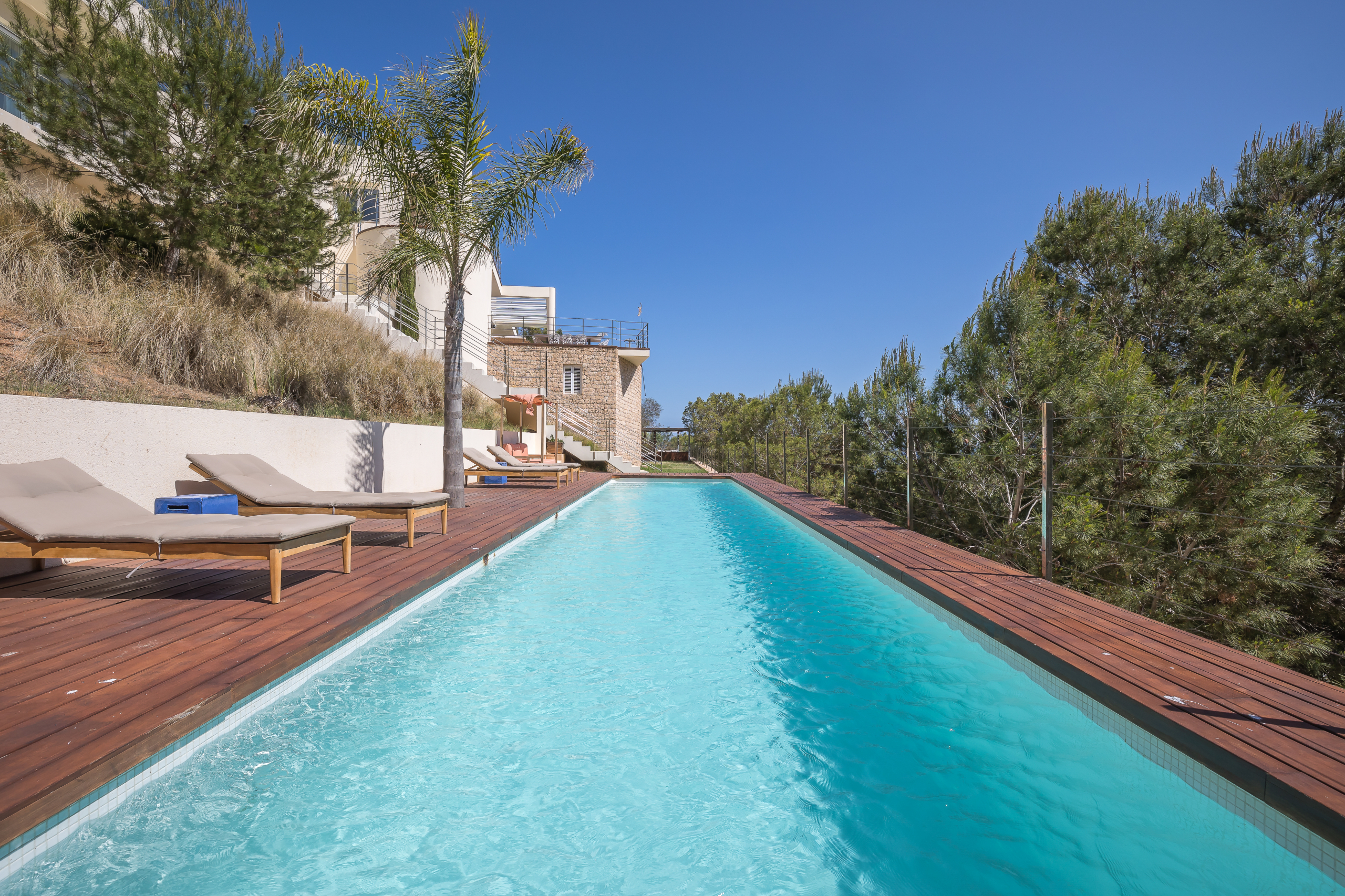 Vista Dev RL by Ali Framil-17.jpg